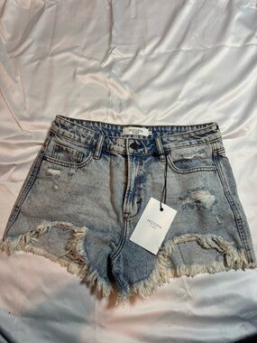 Hidden Brand Light Blue Distressed Denim Shorts for Women